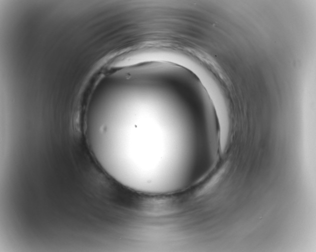 X0000088710830200706212001