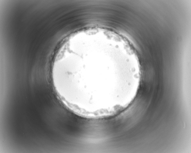 X0000088710832200706212001