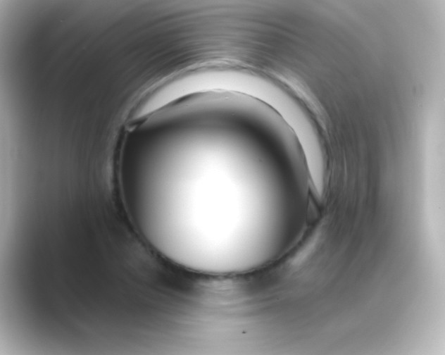 X0000088710834200706212001