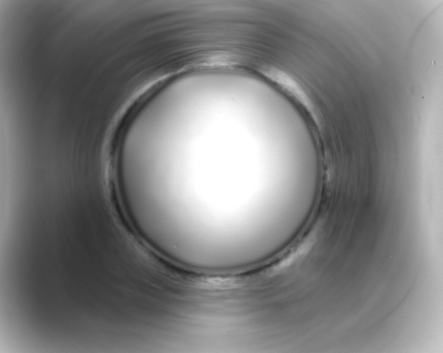 X0000088710835200706212001