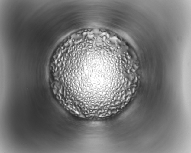 X0000088710839200706212001