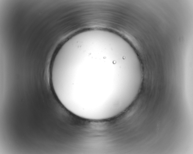 X0000088710840200706212001