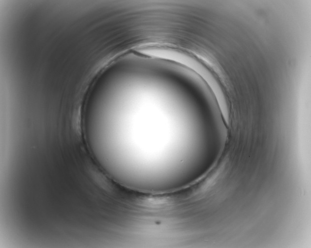 X0000088710842200706212001