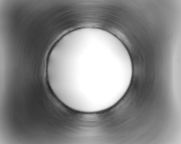 X0000088710844200706212001