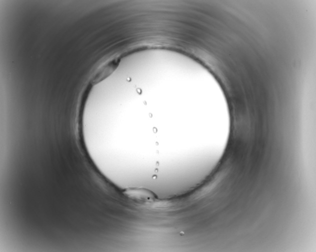 X0000088710845200706212001