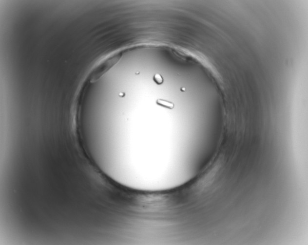 X0000088710846200706212001