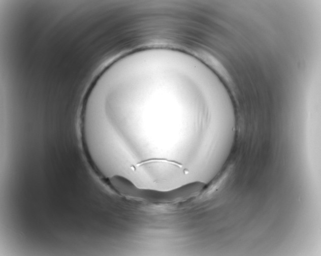 X0000088710847200706212001