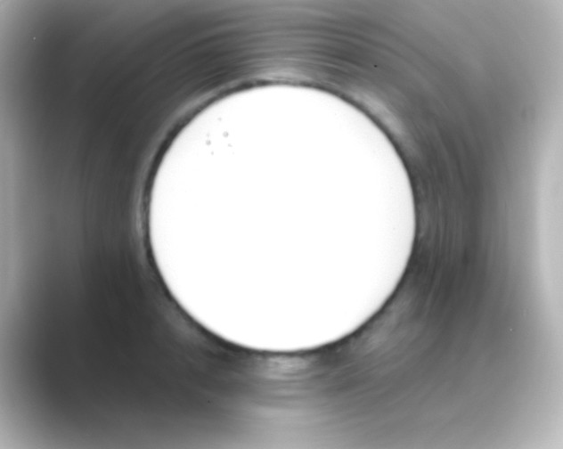 X0000088710848200706212001