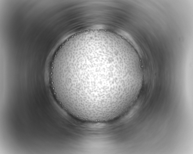 X0000088710851200706212001