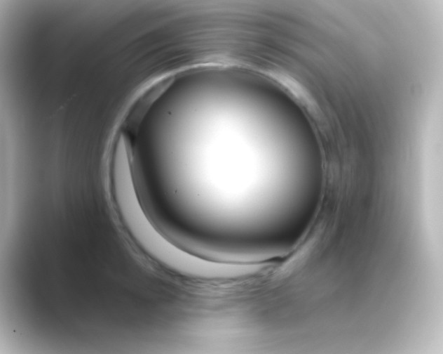 X0000088710854200706212001