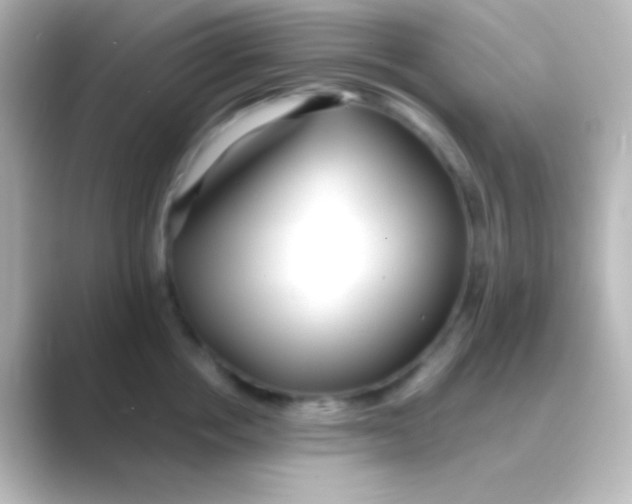 X0000088710858200706212001