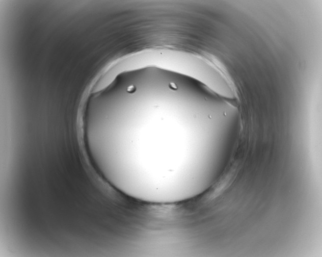 X0000088710859200706212001