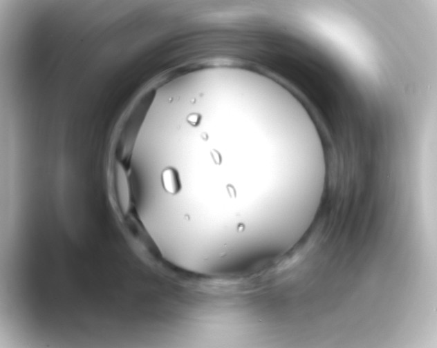 X0000088710861200706212001