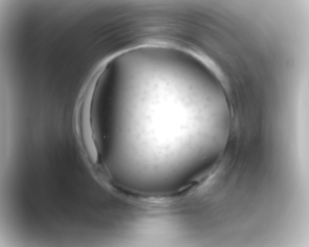 X0000088710862200706212001