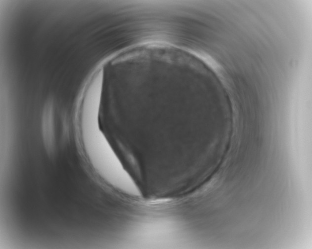 X0000088710864200706212001