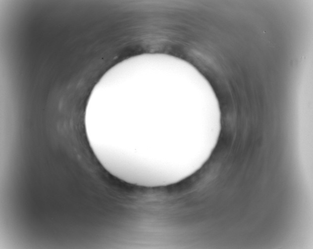 X0000088710865200706212001