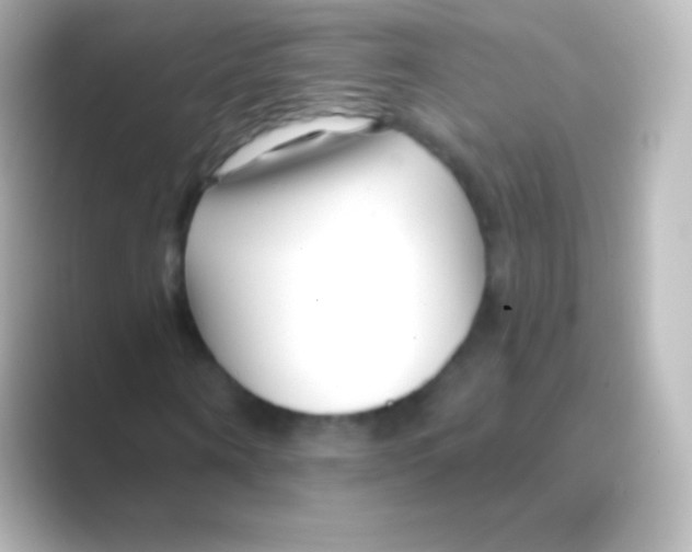 X0000088710866200706212001