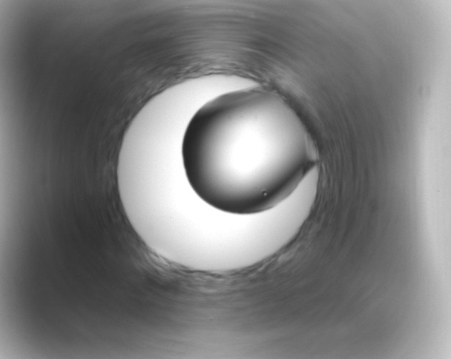 X0000088710868200706212001