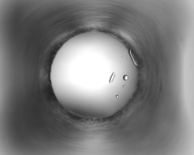 X0000088710872200706212001