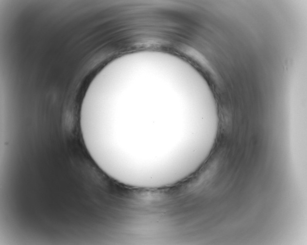 X0000088710874200706212001