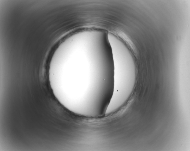 X0000088710876200706212001