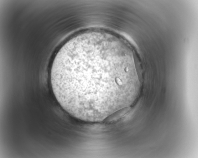 X0000088710879200706212001