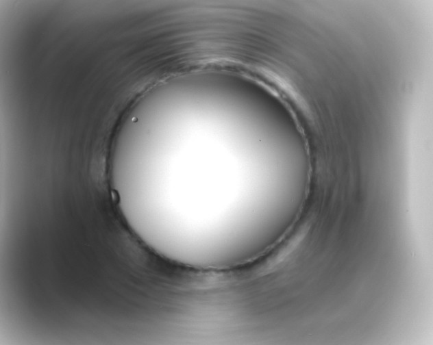 X0000088710881200706212001