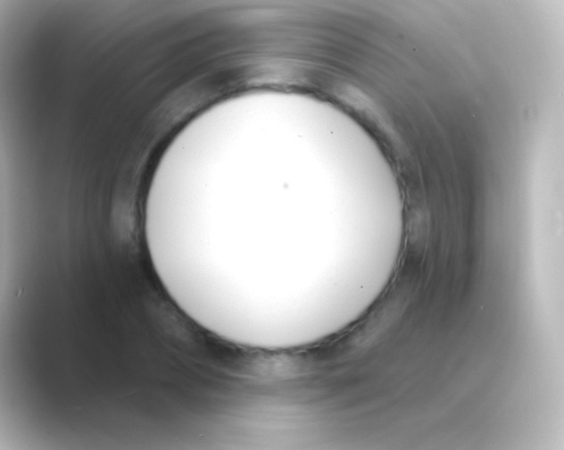 X0000088710882200706212001