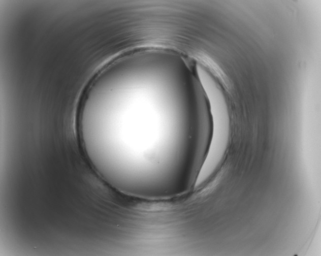 X0000088710884200706212000