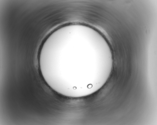 X0000088710887200706212000