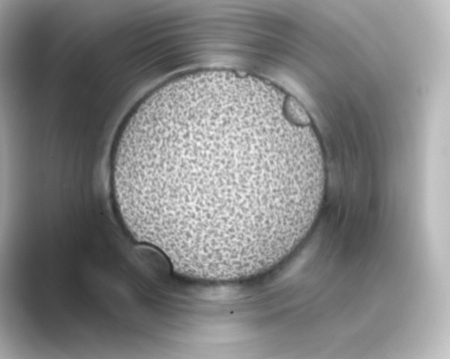 X0000088710891200706212000