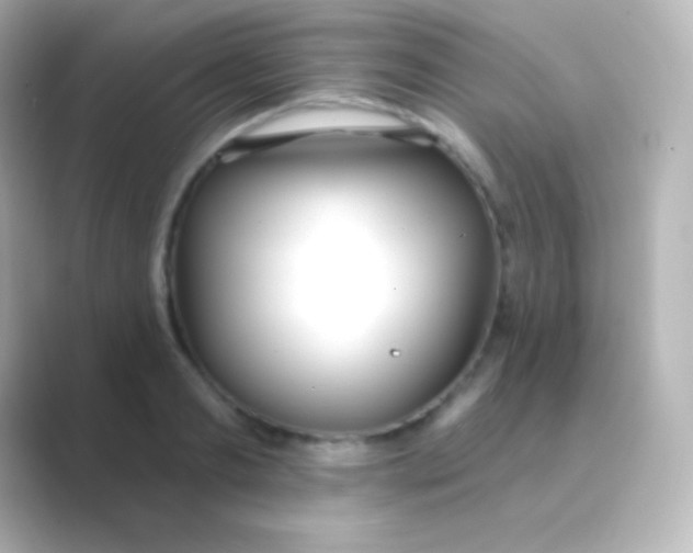 X0000088710893200706212000