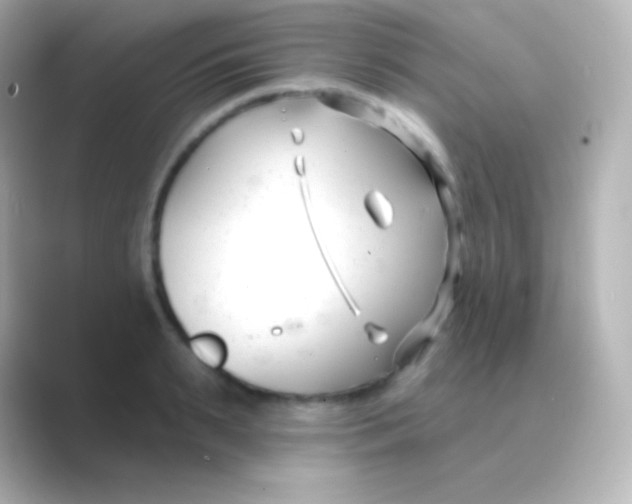 X0000088710895200706212000