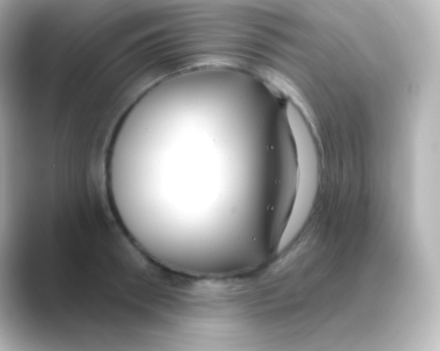 X0000088710898200706212000