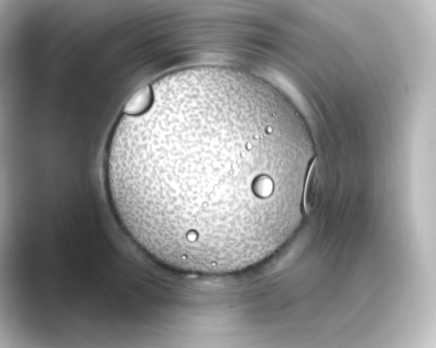 X0000088710899200706212000