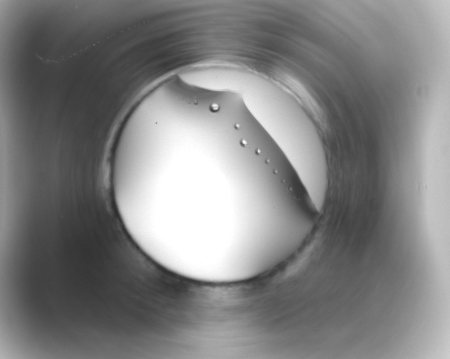 X0000088710900200706212000