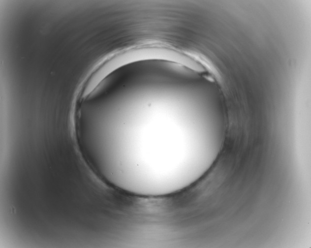 X0000088710902200706212000