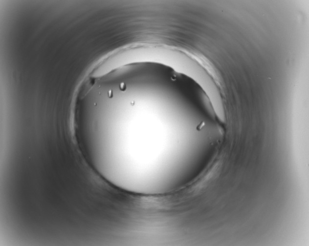 X0000088710904200706212000