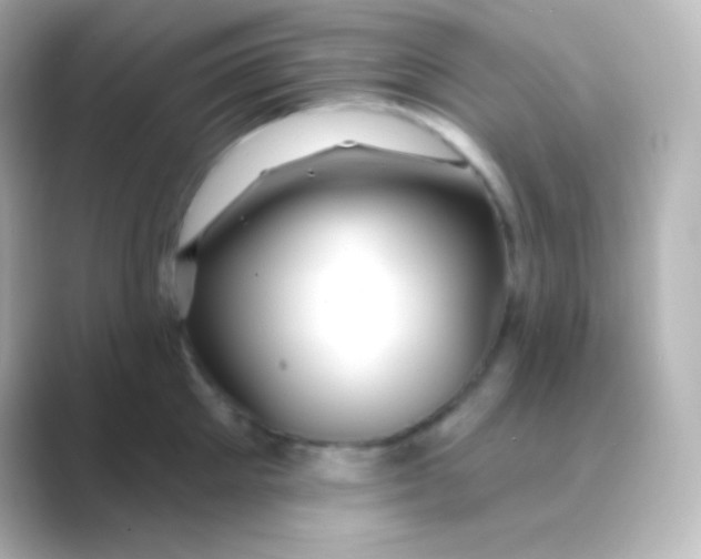 X0000088710905200706212000