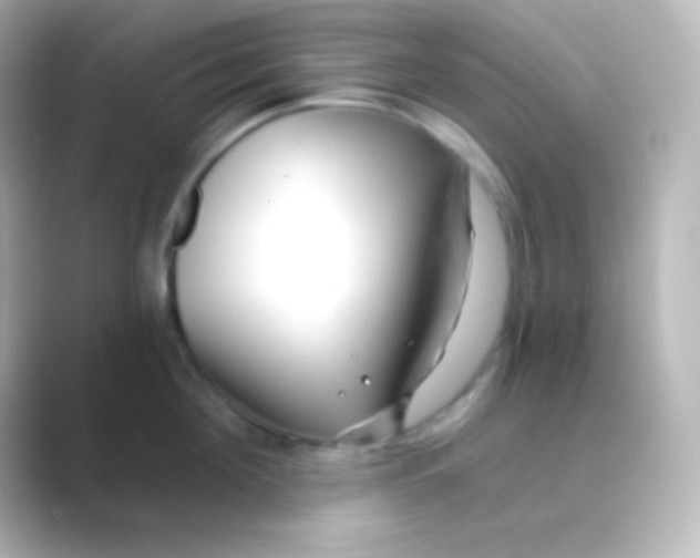 X0000088710908200706212000