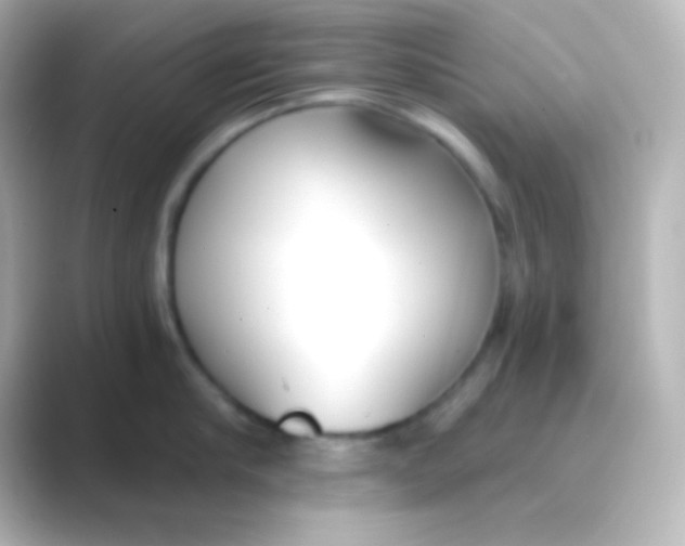 X0000088710910200706212000