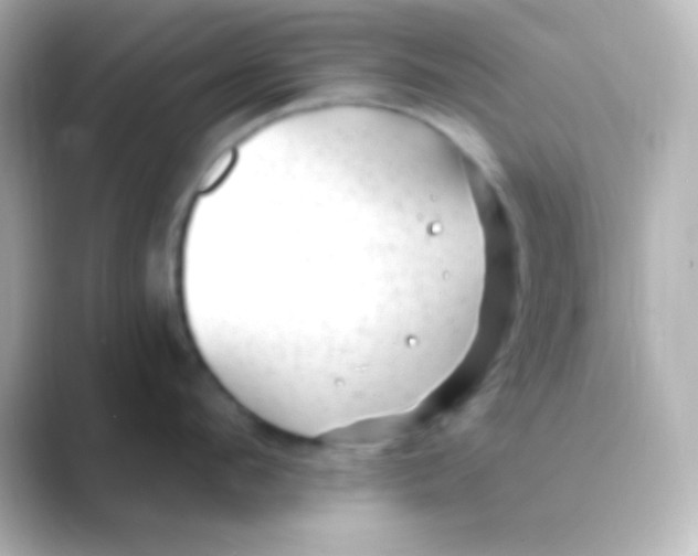 X0000088710912200706212000