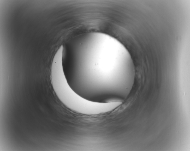 X0000088710916200706212000