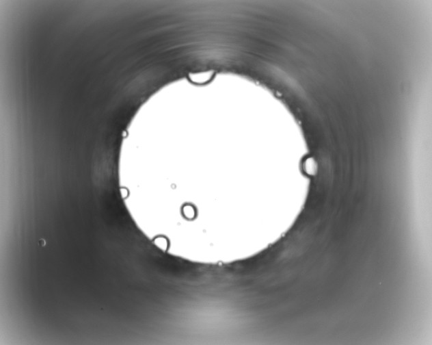 X0000088710918200706212000