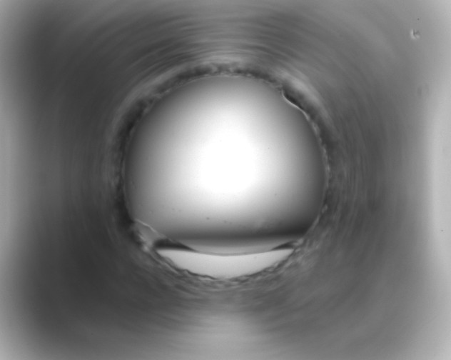 X0000088710920200706212000