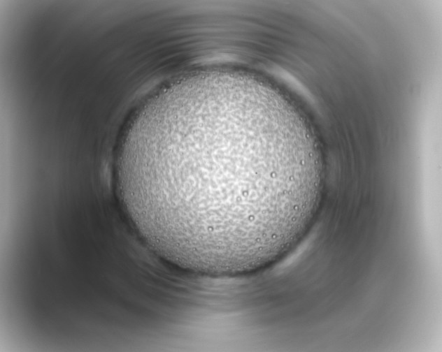 X0000088710921200706212000