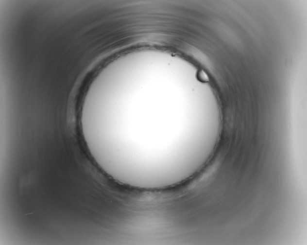 X0000088710923200706212000