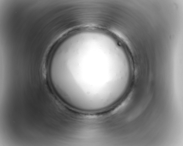 X0000088710925200706212000