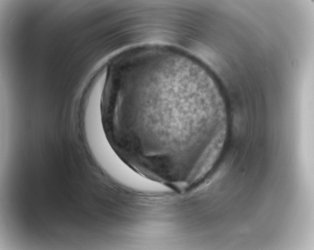 X0000088710926200706212000