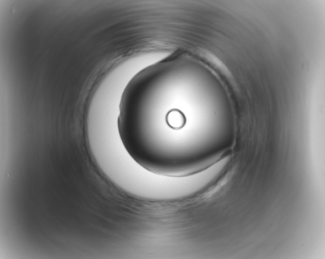 X0000088710930200706212000